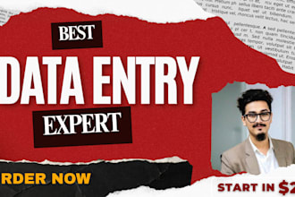 do expert data entry, data scraping, data typing, and data collection