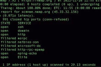 scan your website and provide a basic security report