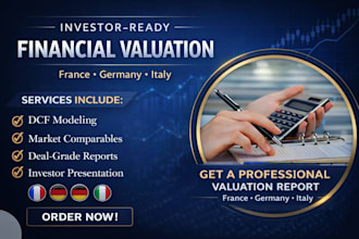 deliver financial valuation for m and a and funding purposes