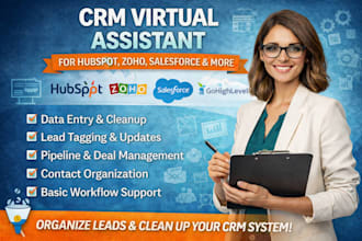 crm virtual assistant for hubspot zoho salesforce data entry and lead management