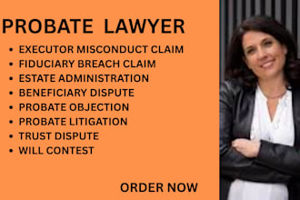 manage probate objections, trusts, wills, executor and beneficiary dispute cases