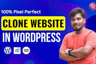 clone, copy or duplicate any wordpress website professionally