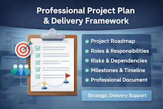 create a professional project plan and delivery framework