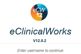 provide expert eclinicalworks ecw emr ehr support billing reporting data entry