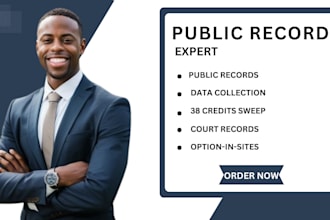 public records search background information court record lookup manually 24hrs