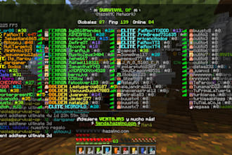 create a professional custom minecraft server or network