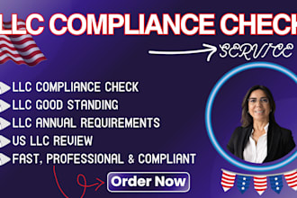review your US llc compliance and identify risks or missing filings