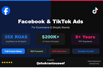run high converting facebook ads and tiktok ads for ecommerce and shopify brand