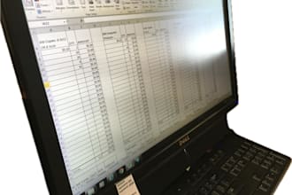 do data entry and copy paste job accurately