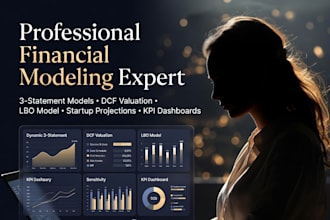 build a professional financial model in excel