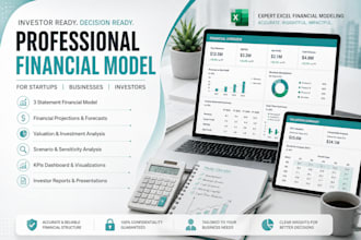 build a professional excel financial model