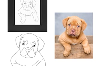your pet turn into line art