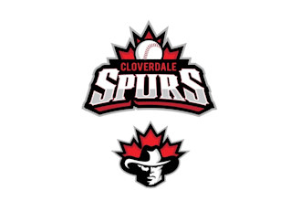 make new exceptional sports logo for a baseball association