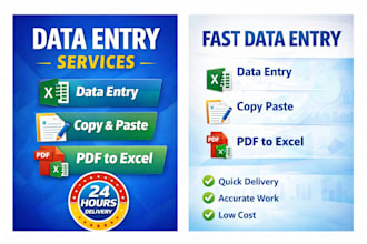 do data entry, copy paste, excel data entry and typing work