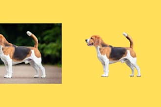 remove background from pictures
