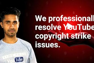 handle your copyright disputes and counter notifications professionally
