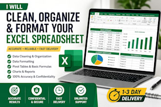 clean, organize and format excel spreadsheets professionally