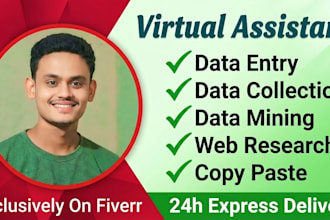 data entry, data mining, email leads, pdf to excel, web research, copy paste