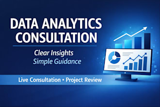 provide data analytics consultation with clear insights