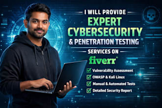 provide expert cybersecurity and penetration testing services