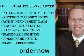 handle copyright takedown requests, trademark, IP, patent and infringement cases