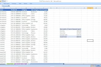 expert PDF conversion to word and excel