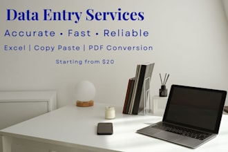 provide accurate data entry and excel services
