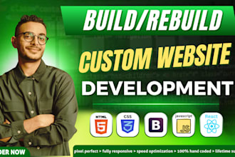 create modern, responsive custom front end website, landing page using htmlcssjs
