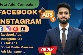meta instagram fb ads manager, social media marketing expert
