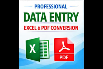 do accurate data entry, excel work and pdf conversion