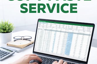 do accurate data entry and web research