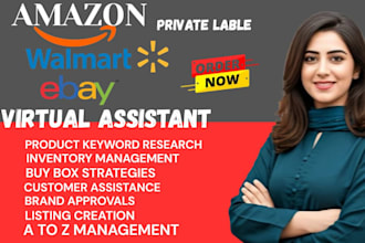 be your amazon fba wholesale,walmart wfs and ebay va
