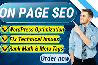 do on page SEO, wordpress optimization and fix technical issues