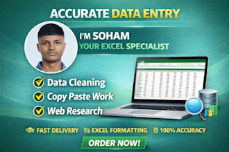 do accurate data entry, data cleaning, excel formatting