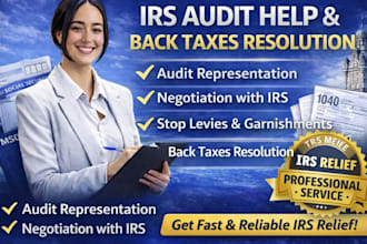 assist with irs audit help and back taxes resolution