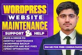 provide wordpress maintenance and wordpress support or help