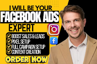 setup and manage facebook ads, conversion with fb pixel and meta ads campaign