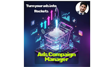 setup and optimize fb and insta ads campaign manager