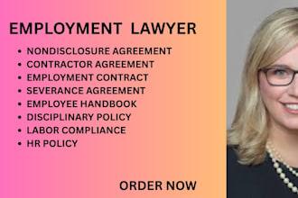 draft employment contracts, HR policies, labor law and compliance documents