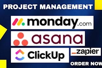 setup project management on asana monday com  clickup automation