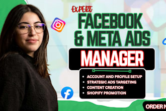 setup and manage high converting facebook meta ads, ig ads campaigns for roi