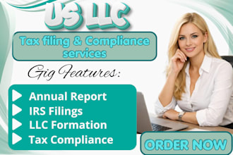 usa llc business tax, tax filing, irs compliance, annual report, federal agency