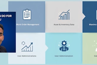 provide professional IBM maximo support and asset management