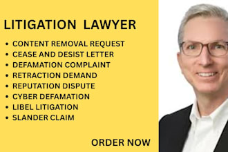 handle cyber defamation,libel litigation and online reputation dispute documents