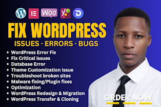 wordpress issues urgent fix wordpress bugs fix checkout fix wordpress api bug