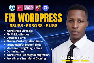 wordpress issues urgent fix wordpress bugs fix checkout fix wordpress api bug