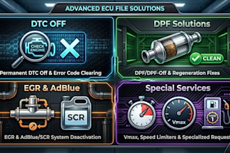 provide professional ecu services for dtc, dpf, egr, and adblue off