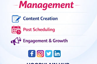 professionally manage your social media accounts