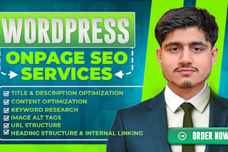 do  wordpress onpage seo optimization for your  wordpress website