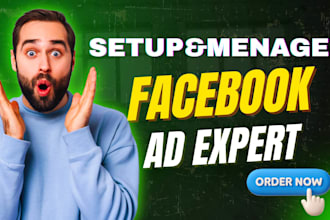 setup and manage facebook ads camping for sales